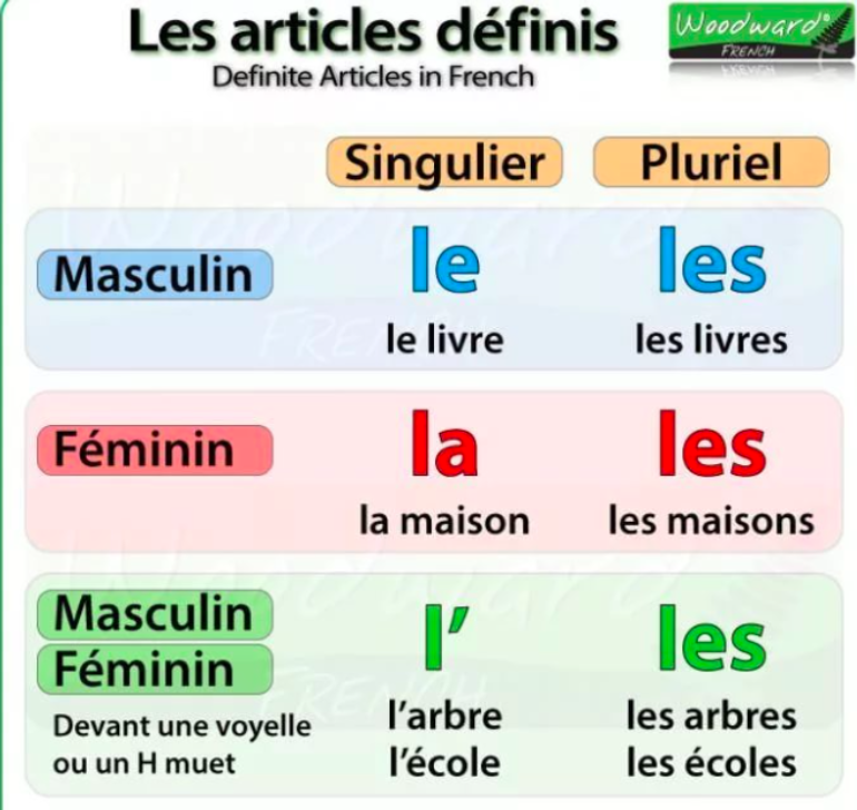 Grammar 1 - Definite articles: le, la, 